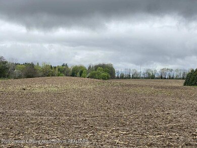 00 W Cutler Rd, Dewitt, MI 48820 - photo 7