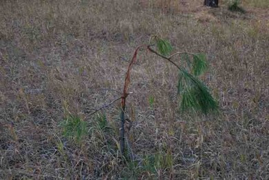 00 Castlerock Ln, Spokane, WA 99208 - photo 3