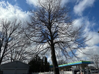 1909 Page Blvd, Indian Orchard, MA 01151 - photo 4