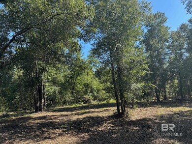 0 Newman Rd unit 3 365680, Mobile, AL 36695 - photo 6