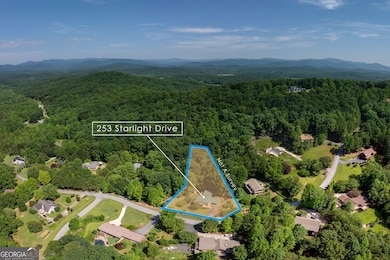 253 Starlight Dr, Sautee Nacoochee, GA 30571 - photo 4