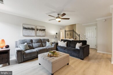 3859 El Camino Place unit 2, Alexandria, VA 22309 - photo 4