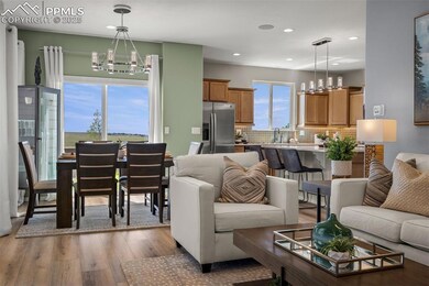 9389 Mayflower Gulch Way, Colorado Springs, CO 80938 - photo 7