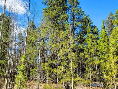 542 Thick Spike Rd, Fairplay, CO 80440 - photo 3