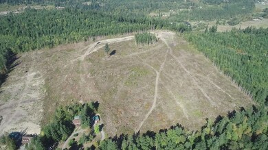 10119 Eatonville Hwy E, Eatonville, WA 98328 - photo 7