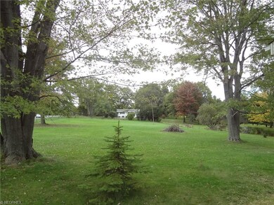 The back yard has room for anything you like and i