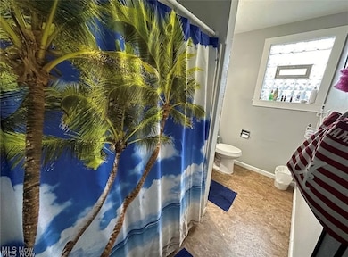 574 Spring St, Struthers, OH 44471 - photo 6