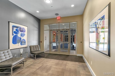 6350 Clayton Rd unit 103, Saint Louis, MO 63117 - photo 6