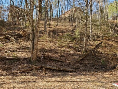 Spring Hollow 4