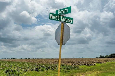 4726 W Tavener Plat H Rd, Beasley, TX 77417 - photo 6