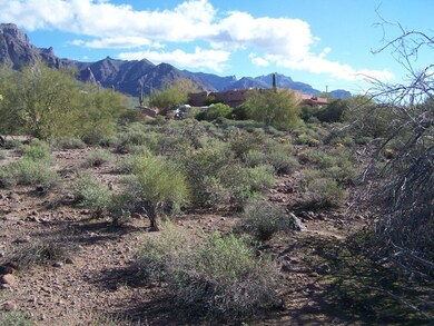 LAND VIEW 1