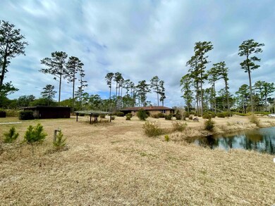 4020 Highway 90, Conway, SC 29526 - photo 3