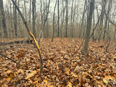 8ac Farm Road Sw4381, Noel, MO 64854 - photo 3