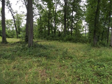 4182 Mildred Rd, Tyner, KY 40486 - photo 2