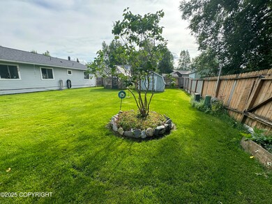 back yard