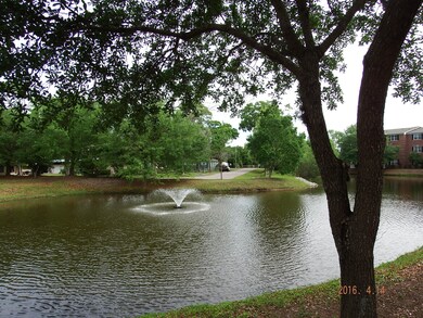 DSCF8569