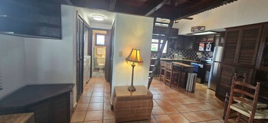 6000 Rio Mar Cluster II unit 13, Rio Grande, PR 00745 - photo 5