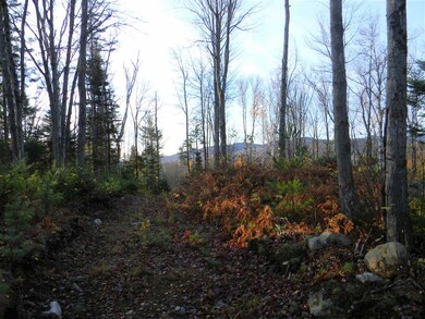 L34E Woodbury Cole Rd, Stark, NH 03582 - photo 7