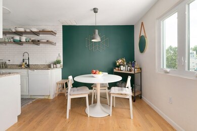 66 St James St unit 208, Boston, MA 02119 - photo 5