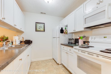 1571 W Pond Dr unit 20, Okemos, MI 48864 - photo 6