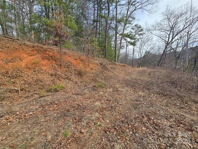 425 Crocus Ln, Dillsboro, NC 28779 - photo 5