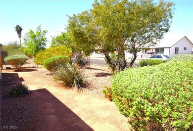 LUSH LANDSCAPE