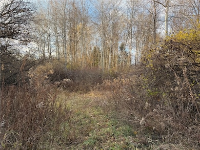 0 Benson Rd, Victor, NY 14564 - photo 5