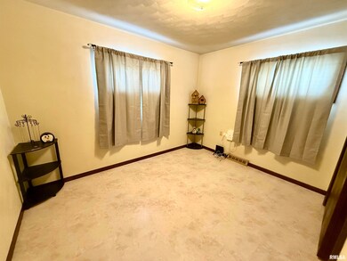 331 6th St, Colona, IL 61241 - photo 5