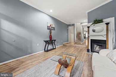 842 W Lombard St, Baltimore, MD 21201 - photo 5