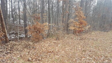 0 Freedom Mill Rd unit 34 3244594, Gastonia, NC 28052 - photo 4