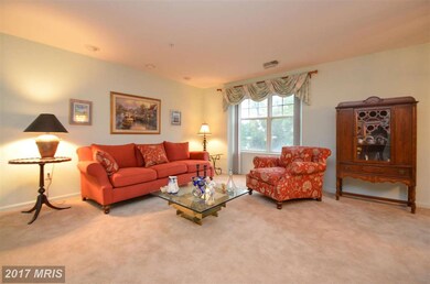 4500 Chaucer Way unit 302, Owings Mills, MD 21117 - photo 5