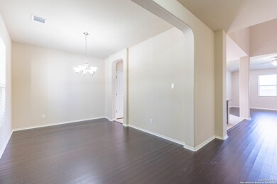 3742 Ox-Eye Daisy, San Antonio, TX 78261 - photo 6