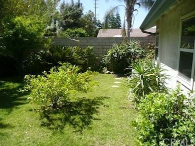 Back Yard from patio