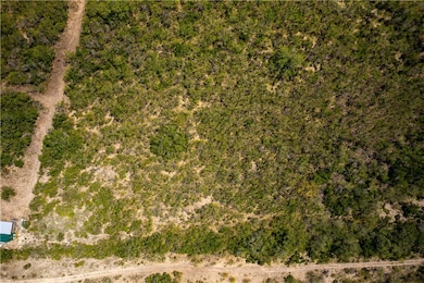 10.81 acres Cr 170, George West, TX 78022 - photo 6