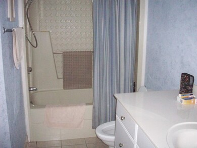 Main suite bathtub