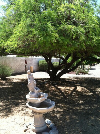 Fountain in  back yard