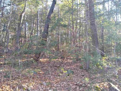 0 Forest Rd unit 7, Wolfeboro, NH 03894 - photo 6