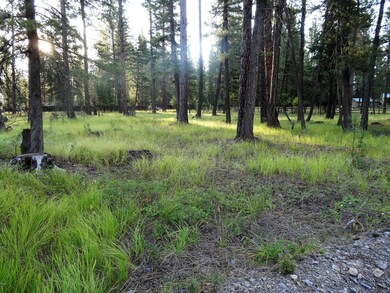 453 Kelley Dr, Big Fork, MT 59911 - photo 3