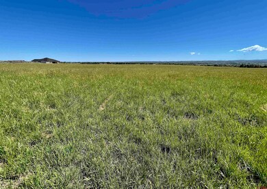 Lot 12 Road 23 5, Cortez, CO 81323 - photo 4