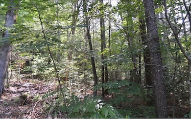 Additional View