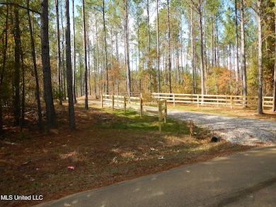 773 Permenter Rd, Camden, MS 39045 - photo 3