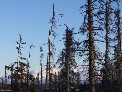 MOUNTAINS TO THE EAST