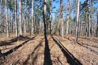 0 Pp Hwy unit 3 19028457, Poplar Bluff, MO 63901 - photo 4