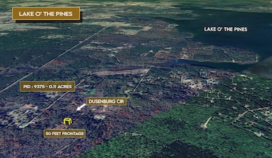 Dusenburg Cir, Ore City, TX 75683 - photo 6