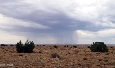 20210714_172050 Storm n 2
