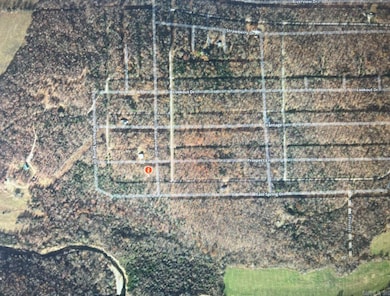 1905 Spring Dr Dr, Horseshoe Bend, AR 72512 - photo 2