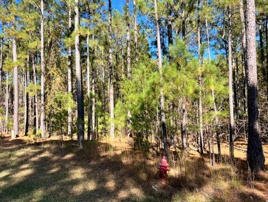 0 Mariners Way unit Lot 41, Lincolnton, GA 30817 - photo 2