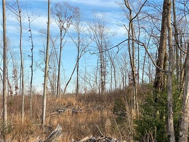 0 Pine Hill Rd, Asheboro, NC 27205 - photo 3