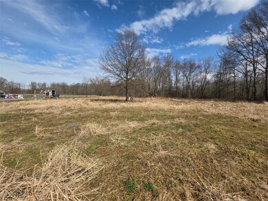 3366 Eagle Creek Rd, Leavittsburg, OH 44430 - photo 4