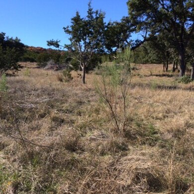 0 Lower Crabapple Rd unit n/a 73081, Fredericksburg, TX 78624 - photo 2